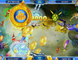 k·yun新网站登录下载app2024最新版